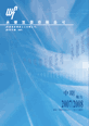 2007 Interim Report